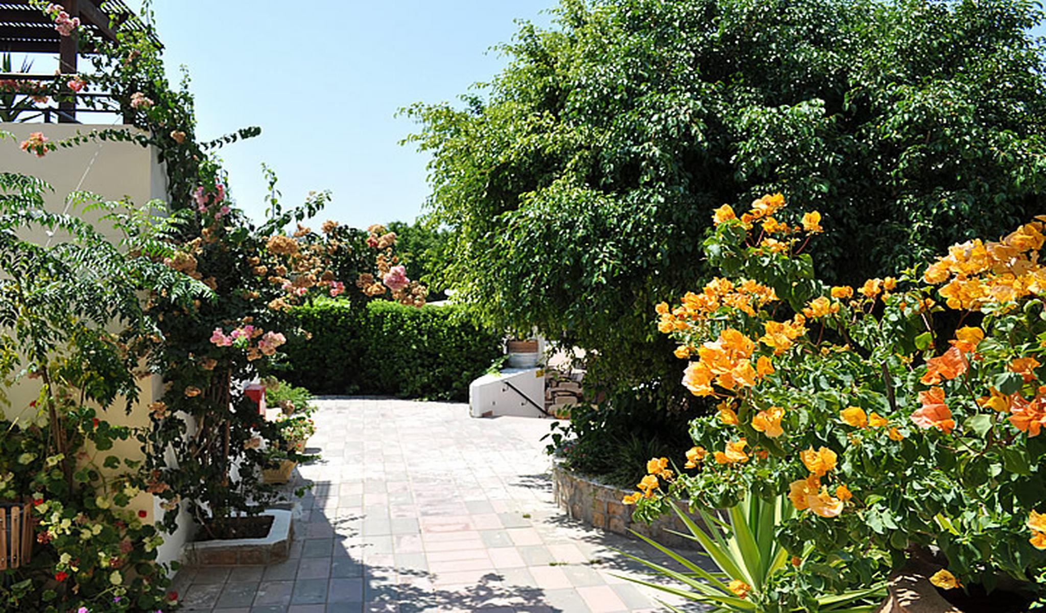 Lägenhetshotell Pefkos Village
